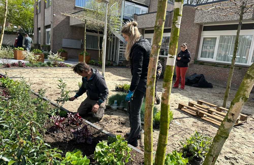 Zorgvastgoed vergroenen met Lodewijks Groene Geluk: duurzaamheid en woongenot voor zorgbehoevenden